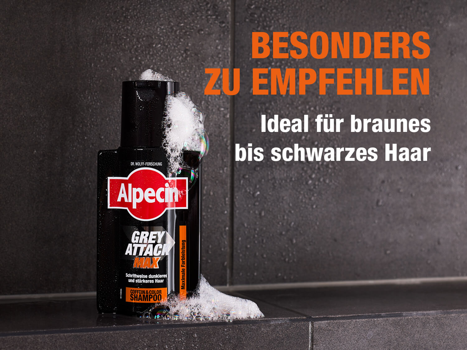 Alpecin Grey Attack MAX Shampoo-Flasche mit Schaum bedeckt, stehend auf einer dunklen, nassen Badezimmerfliese. Die schwarze Flasche trägt das Alpecin-Logo und die Aufschrift ‚Grey Attack MAX – Schrittweise dunkleres und stärkeres Haar – Coffein & Color Shampoo – Maximale Farbleistung‘. Rechts daneben steht in großen orange-weißen Buchstaben: ‚BESONDERS ZU EMPFEHLEN – Ideal für braunes bis schwarzes Haar‘.