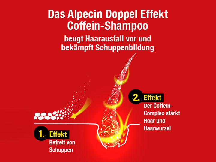 Grafik zeigt die 2 Effekte vom Alpecin Doppel Effekt Coffein-Shampoo: Befreit von Schuppen und stŠrkt Haar sowie Haarwurzel