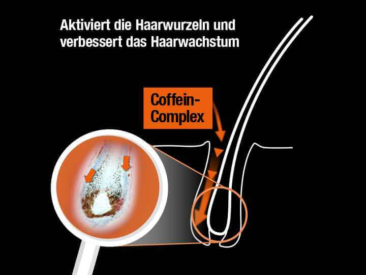 Grafik zeigt die Wirkung des Alpecin Coffein-Complex im Coffein-Shampoo C1 Black Edition: aktiviert die Haarwurzeln und verbessert das Haarwachstum