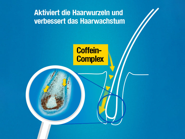 Grafik zeigt die Wirkung des Alpecin Coffein-Complex: aktiviert die Haarwurzeln und verbessert das Haarwachstum