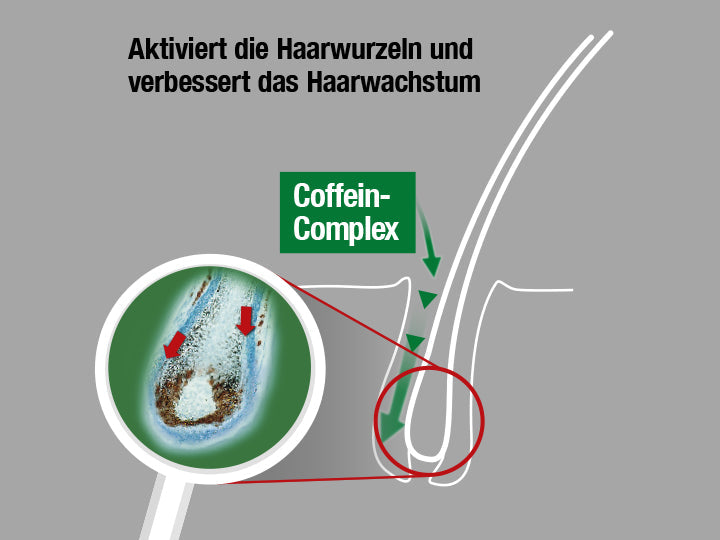 Grafik zeigt den Effekt vom Alpecin Coffein-Complex im pH Sensitiv Coffein-Shampoo S1: aktiviert die Haarwurzeln und verbessert das Haarwachstum