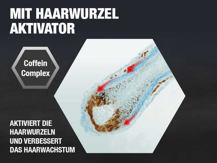 Grafik zeigt, wie der Alpecin Coffein-Complex die Haarwurzel erreicht und das Haarwachstum verbessert